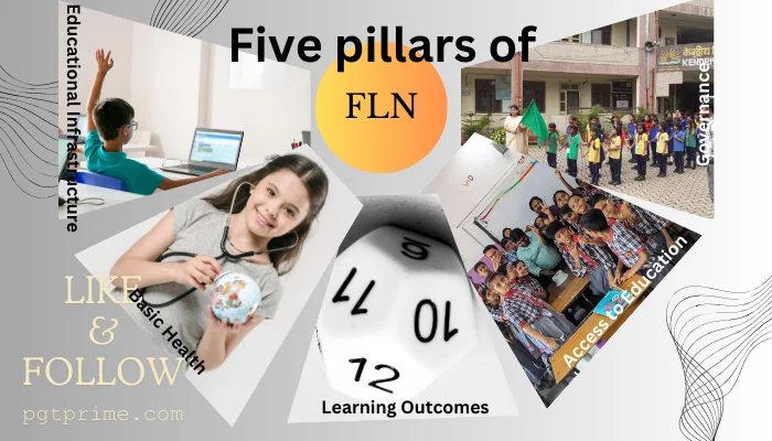 Five Pillars of FLN Mission
