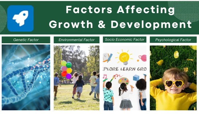 Factors affecting growth and development in CDP growth and development B.Ed. notes