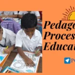 Pedagogical Process in Education